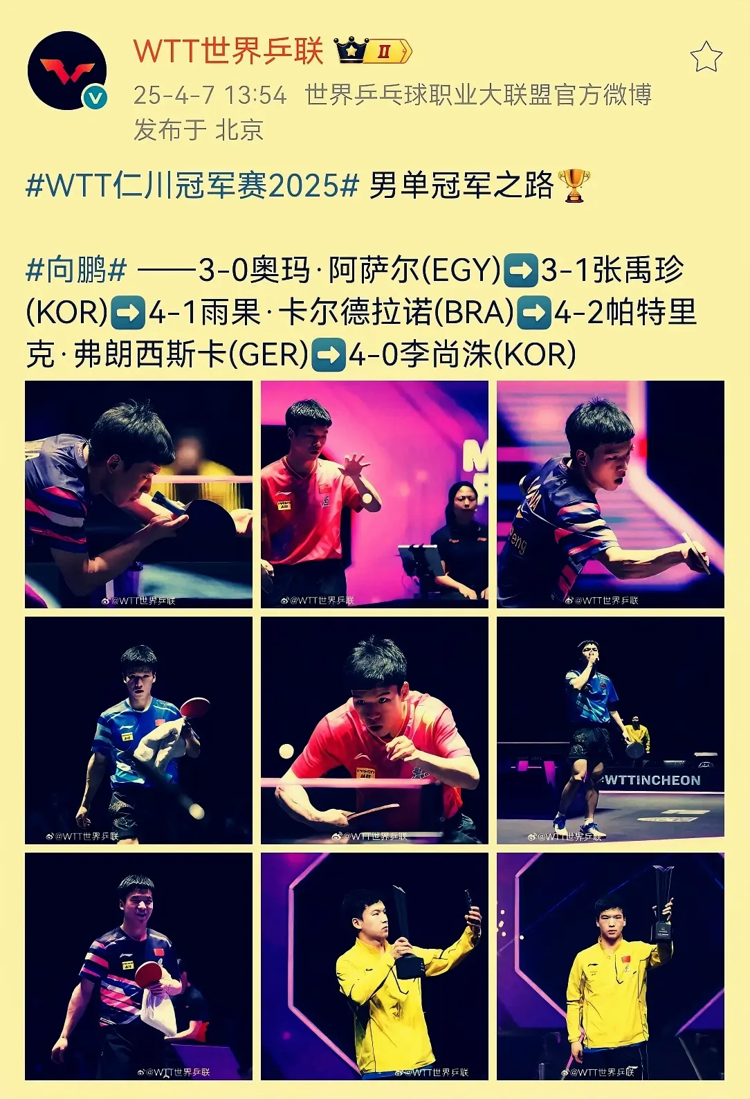 线路的对抗, 向鹏, msn